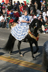 The festival includes horses such as the Andalusians and Lusitanos as well as many other Spanish-bred horses