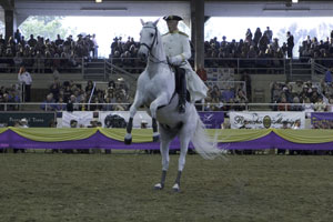 Partial proceeds from the fiesta go towards cancer research