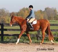 Taking safety precautions while riding your horse can be life-saving