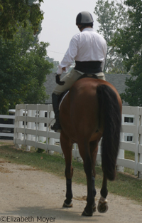 Horseback rider back pain