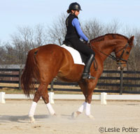 Schooling at the walk