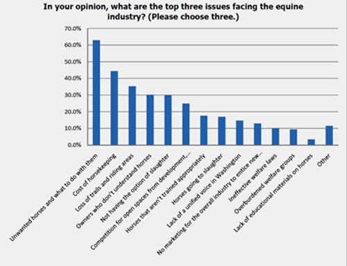 Top issues facing the horse industry