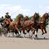 2010 World Equestrian Games- Combined Driving
