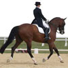2010 World Equestrian Games- Dressage