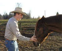 Build respect with your horse without causing fear