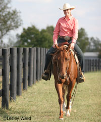 Trail riding