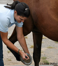 In a time crunch the feet should be taken care of first