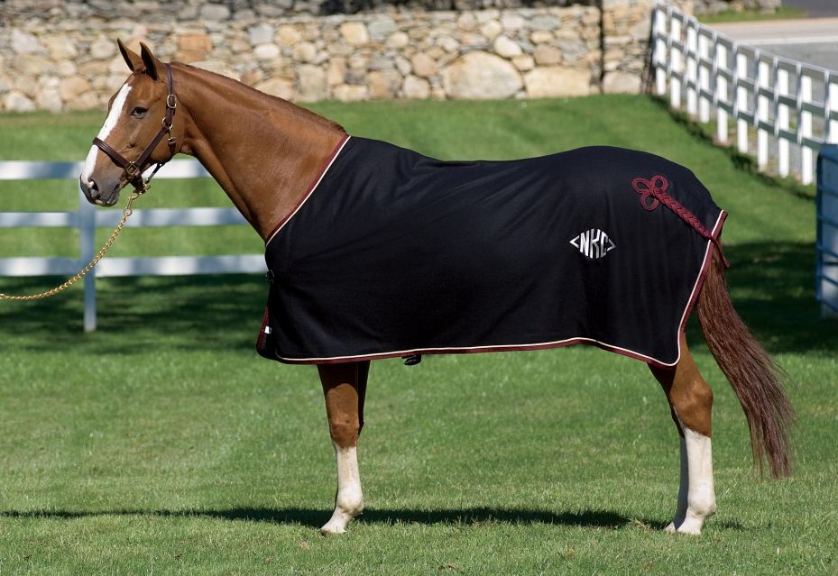 Horse Blanket 