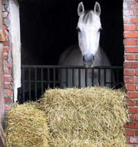 Hay cleanup is a big part of spring cleaning