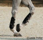 Ways to properly use leg wraps and boots for you horse
