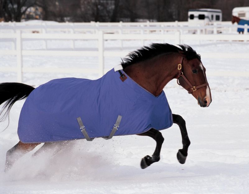 Horse Turnout Blanket Size Chart