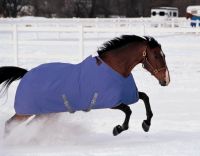 turnout blanket