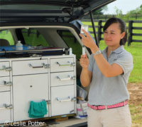 Equine Vet