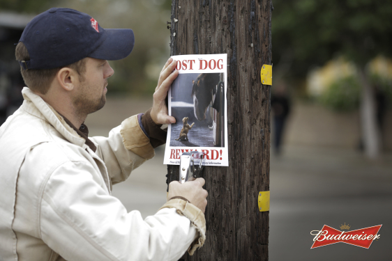 2015 Budweiser Clydesdale Ad