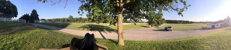Evenings Evenings