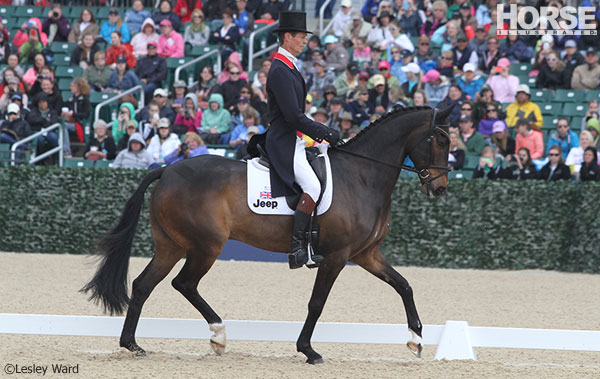 William Fox-Pitt and Bay My Hero