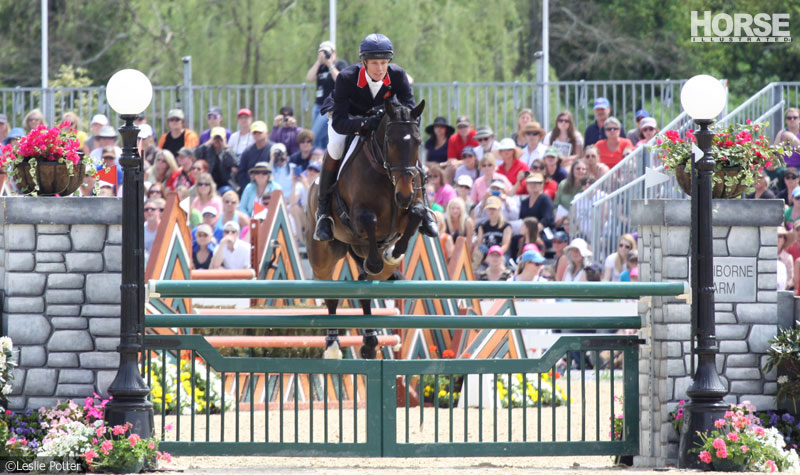 William Fox-Pitt and Bay My Hero