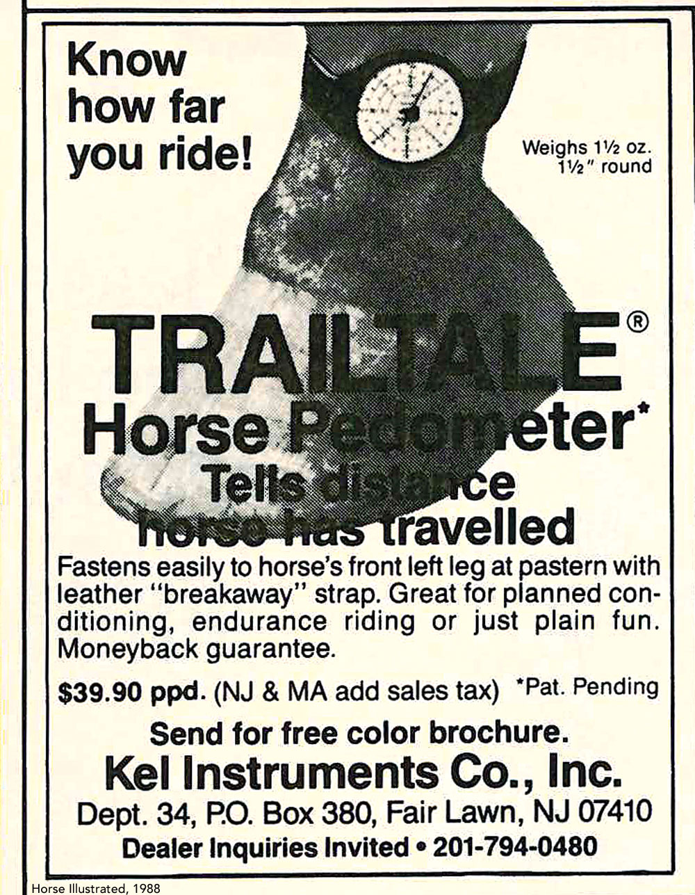 Horse Pedometer