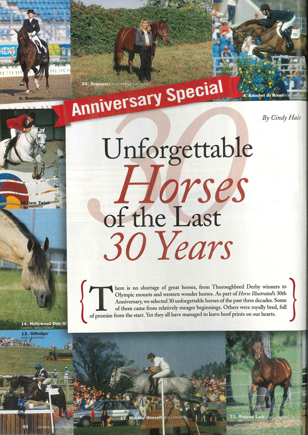 40 Years of Horses