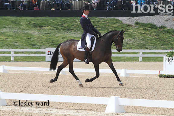 William Fox-Pitt and Bay My Hero