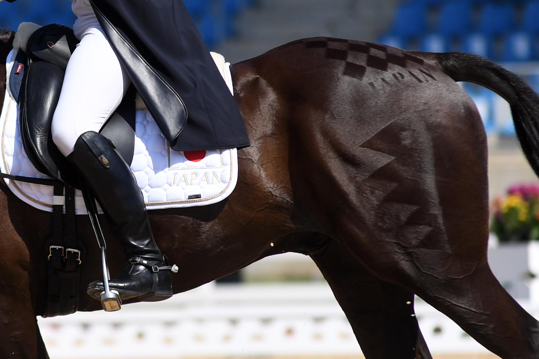 Rio Olympics Equestrian