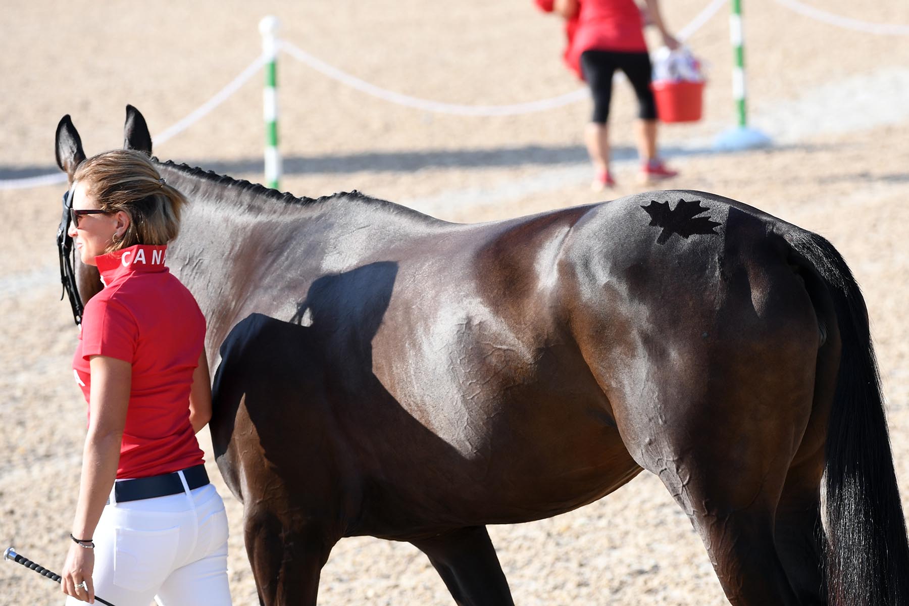 Rio Olympics Equestrian