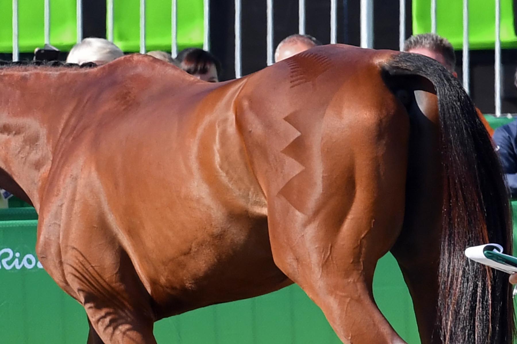 Rio Olympics Equestrian