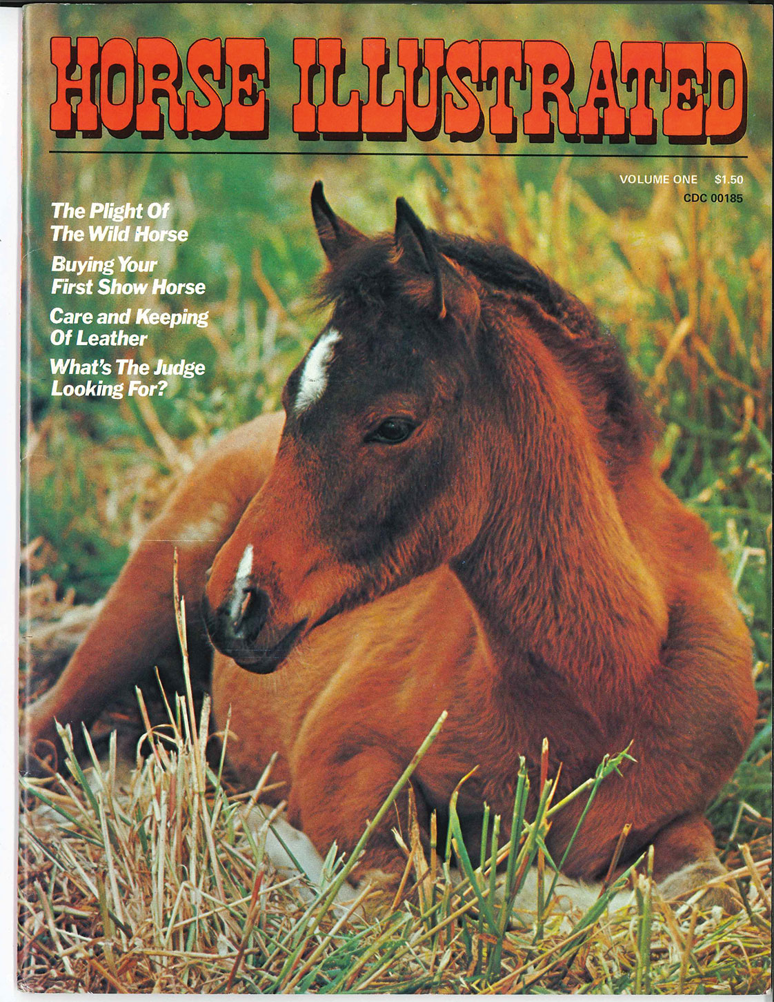 Horse Illustrated first issue