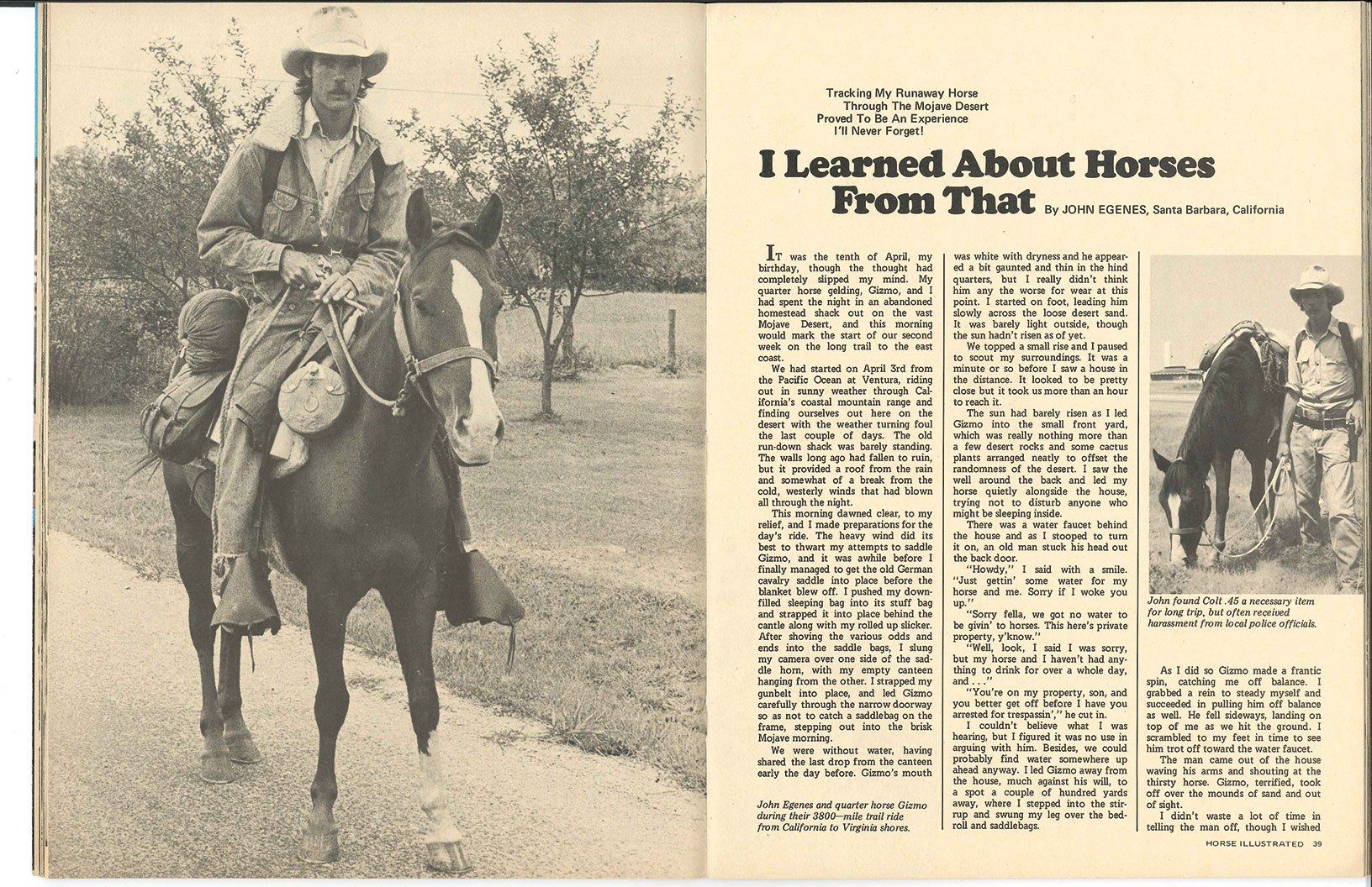 Horse Illustrated first issue