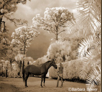 Barbara Bower's infared photography