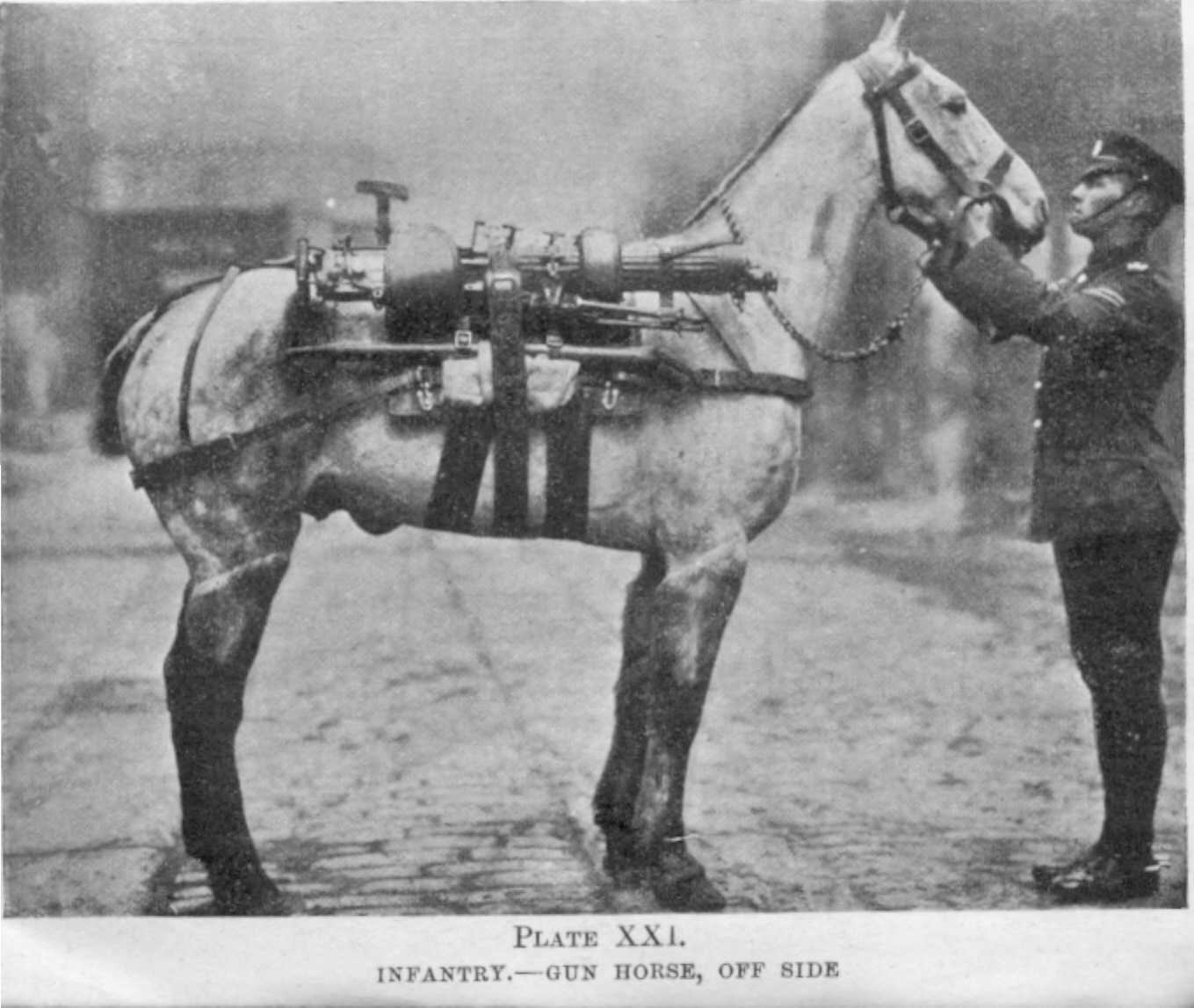 WWI Gun Horse