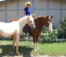 Life with Horses - When Llamas Attack