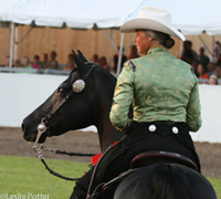 New England Morgan Horse Show