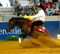 The 2008 FEI World Reining Championship is being held in Italy