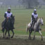 2010 World Equestrian Games- Endurance