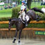 2010 World Equestrian Games- Eventing