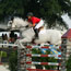 2010 World Equestrian Games- Jumping