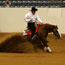 2010 World Equestrian Games- Reining