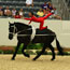 2010 World Equestrian Games- Vaulting