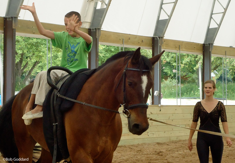 Adaptive Vaulting