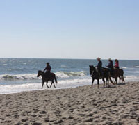 AHA Beach Ride