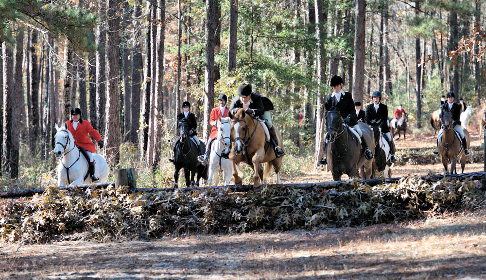 Hitchock Woods Fox Hunting