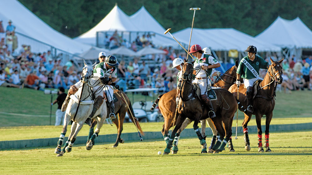 Polo in Aiken