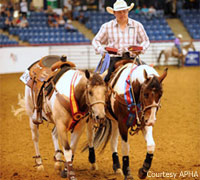American youth paint horse show
