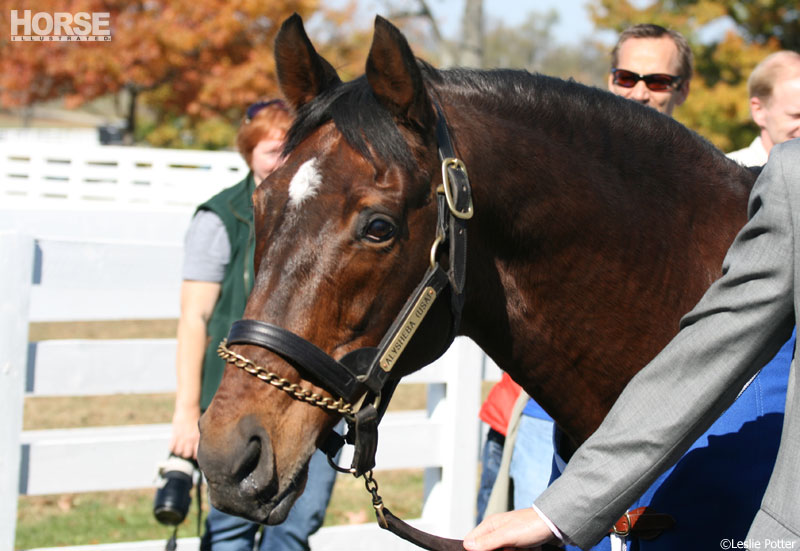 Alysheba