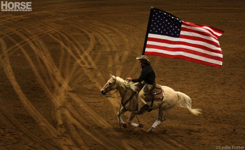 Horse with American Flag Horse rider with American Flag