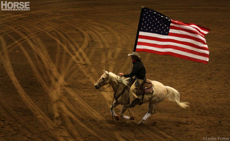 Horse rider with American Flag