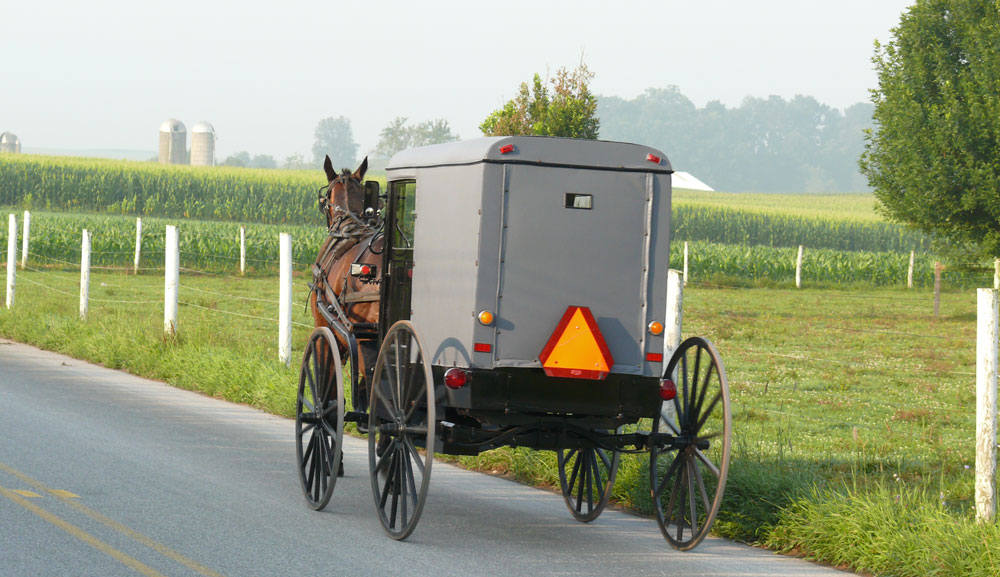 Amish Buggy