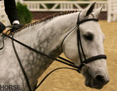 Alltech National Horse Show