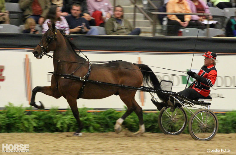 Alltech National Horse Show